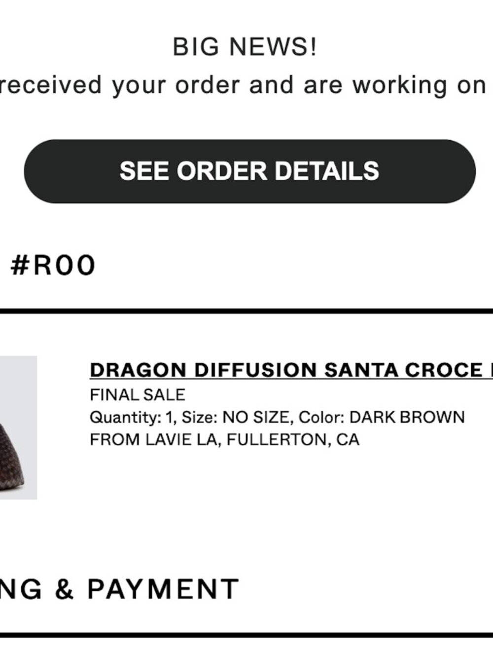 NWT Dragon Diffusion Santa Croce Big In Dark Brown PRICE FIRM - Picture 8 of 8